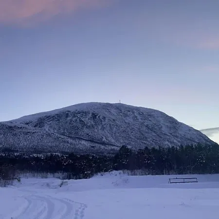Koselig Leilighet , Med Parkering Og Ski In &out. شقة